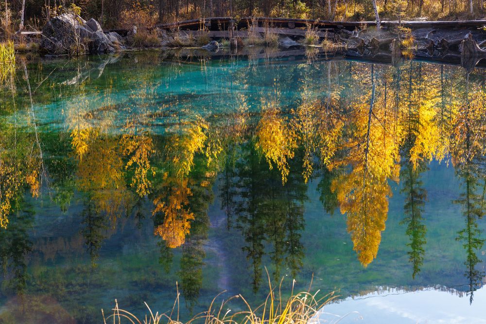 Photograph by Людмила Аксенова