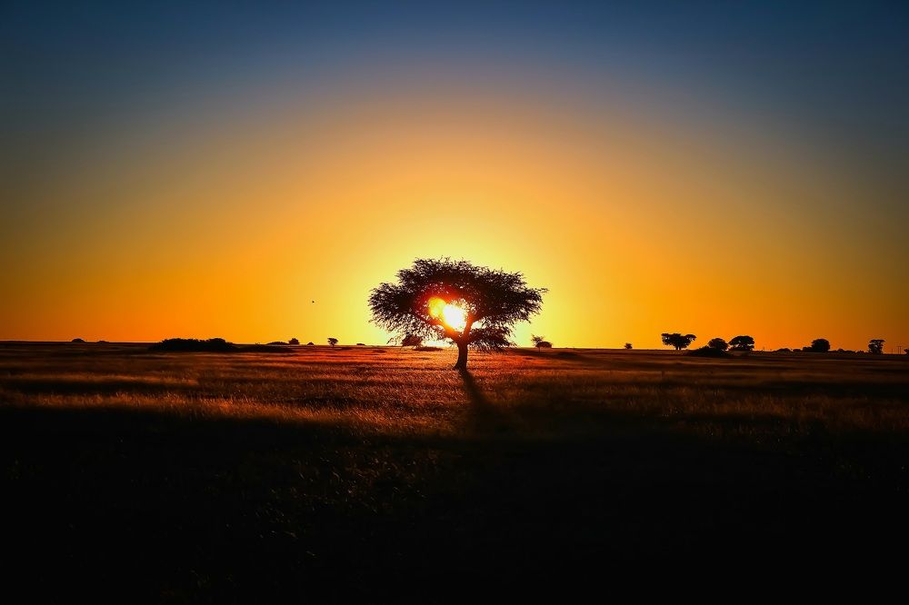 Photograph by Conrad Koorsten