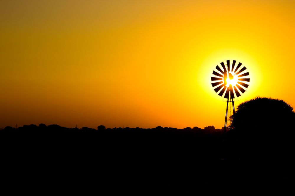 Photograph by Conrad Koorsten