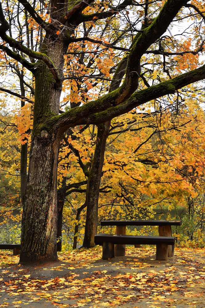 Photograph by Алексей Парамонов