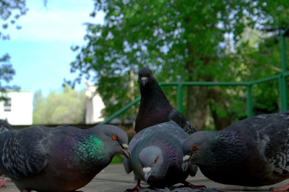 Photograph by Maks315519