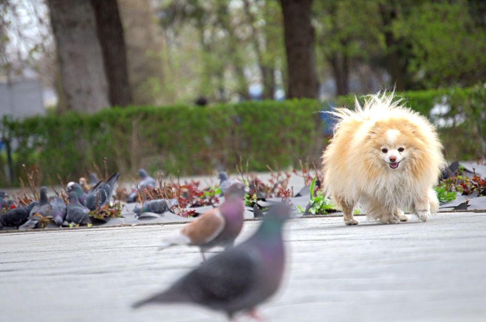 Photograph by Maks315519