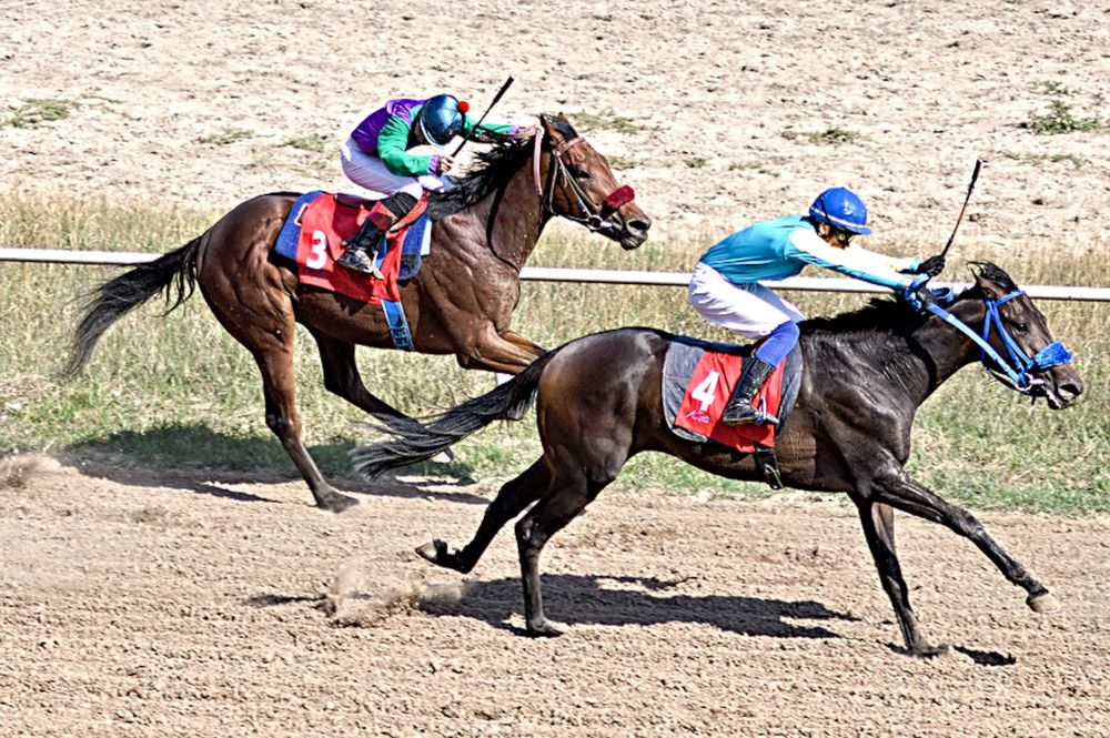 Photograph by Виктор Репников