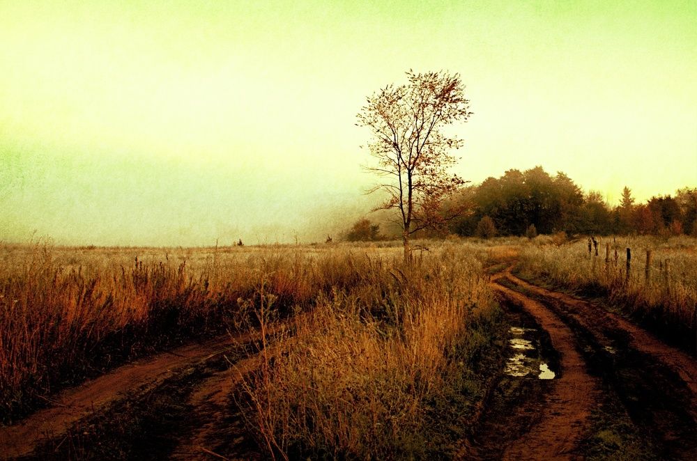 Photograph by Maks315519