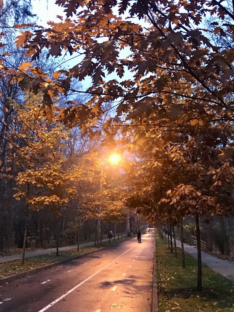 Photograph by Екатерина Антонова