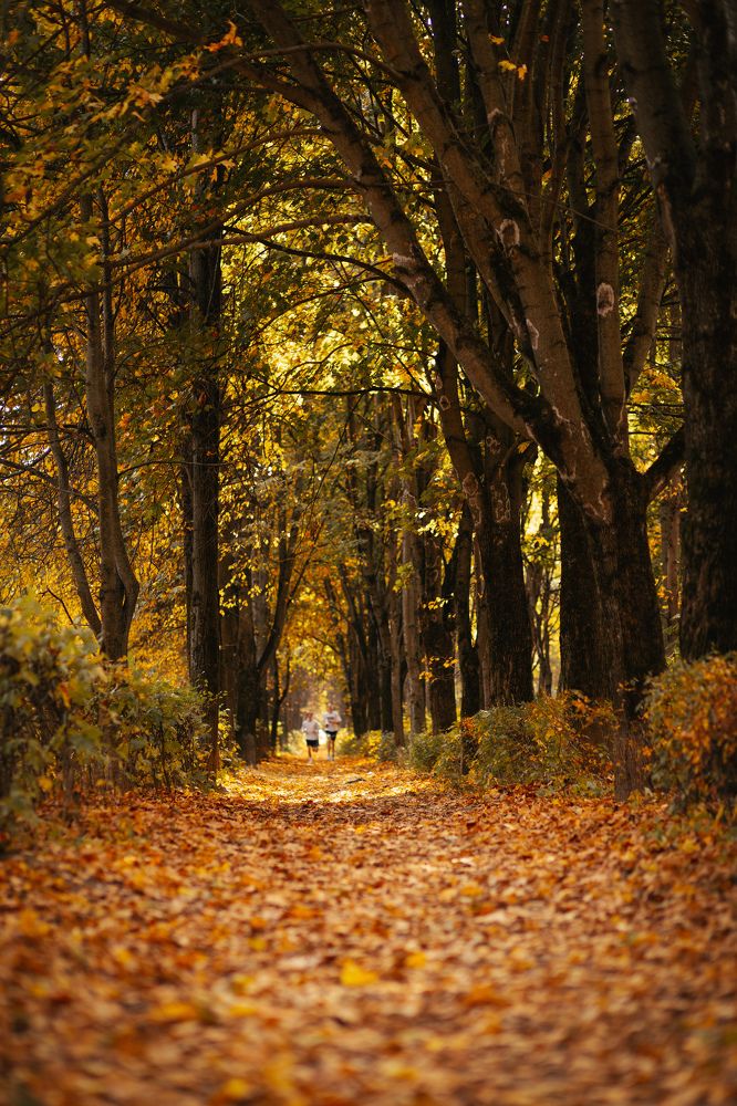 Photograph by Мария Кислякова