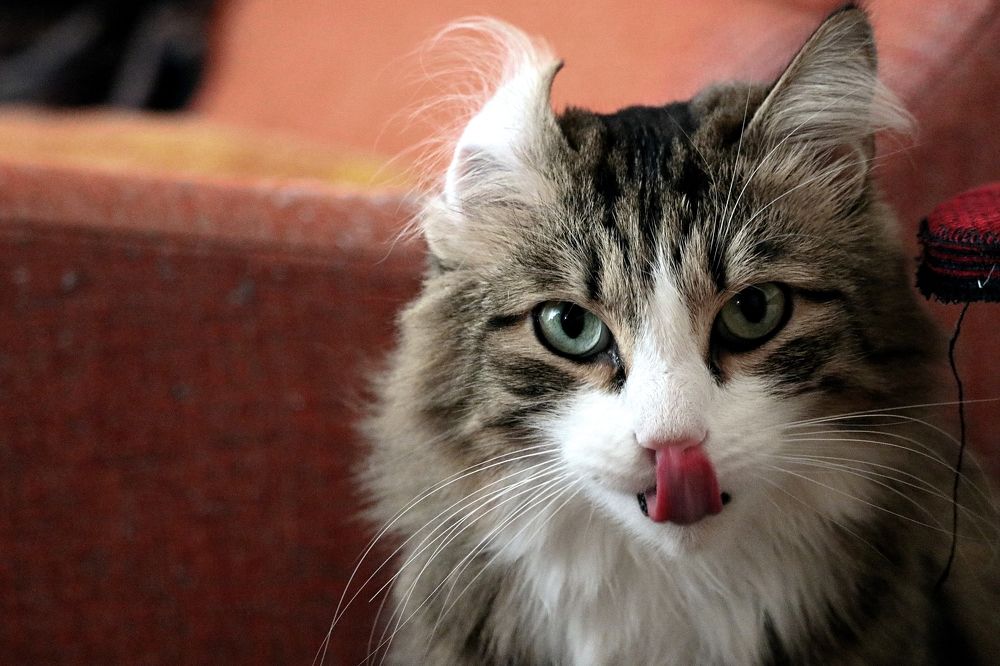 Photograph by Галина Мазур