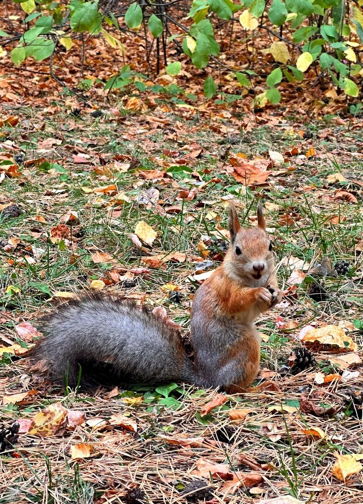 Photograph by Екатерина Целовальникова