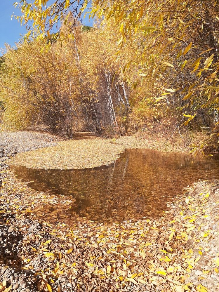 Фотография автора Матусевич Марина