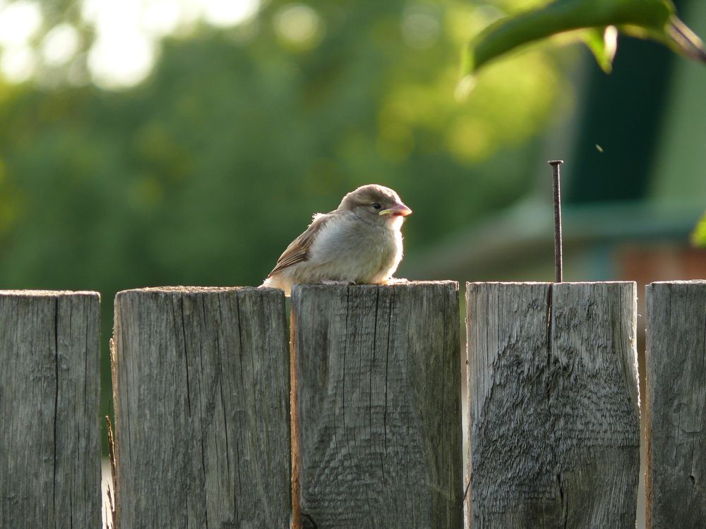 Photograph by Елена Попова