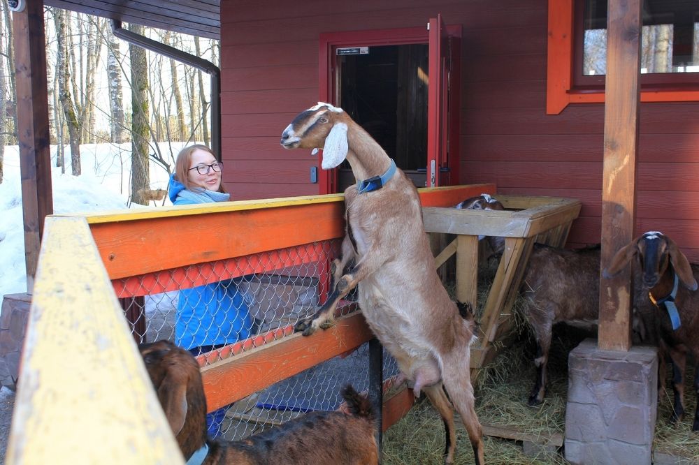 Photograph by Olga Bagaeva