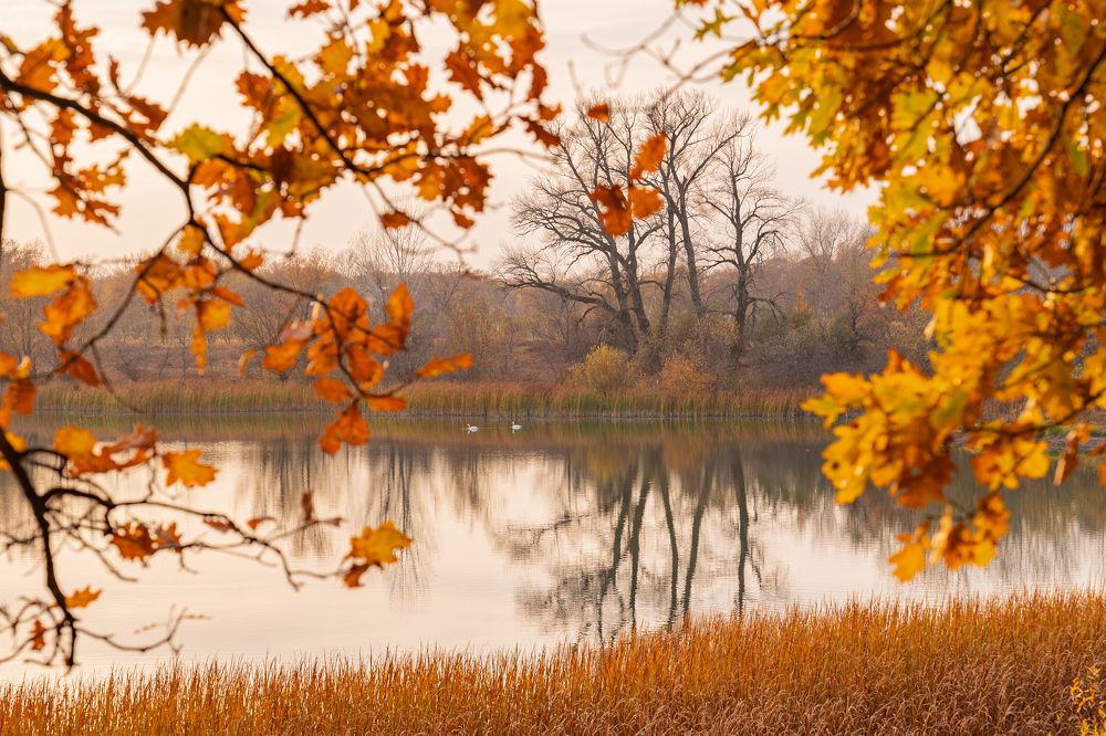 Лебяжье озеро