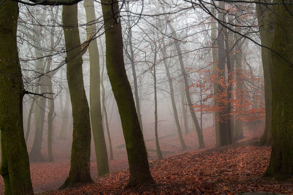 Photograph by Наталья Брюхненко