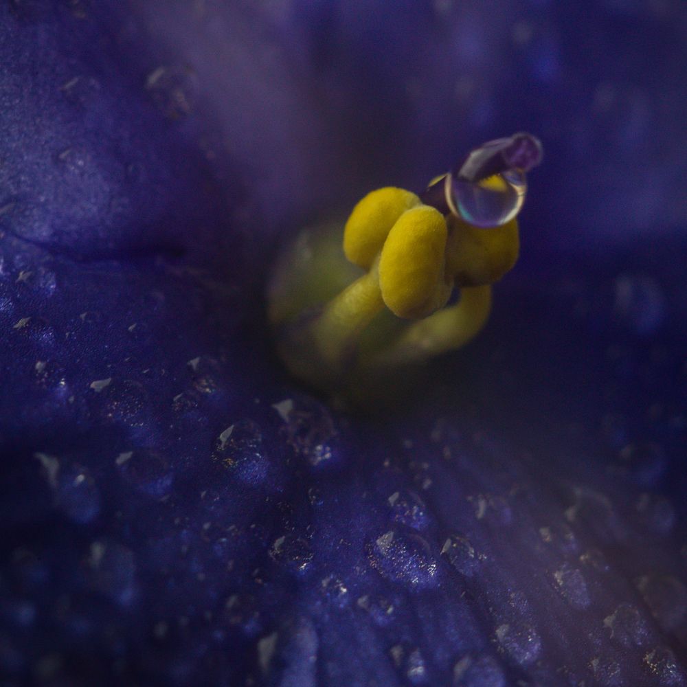 Photograph by Ирина Голомако