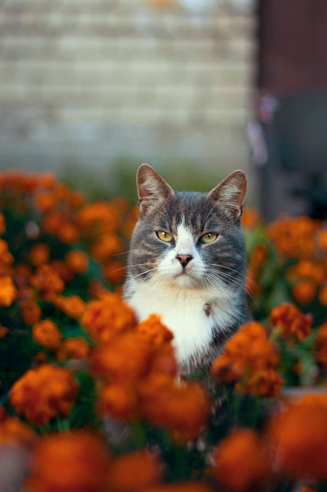 Photograph by Uliyana Moiseenko