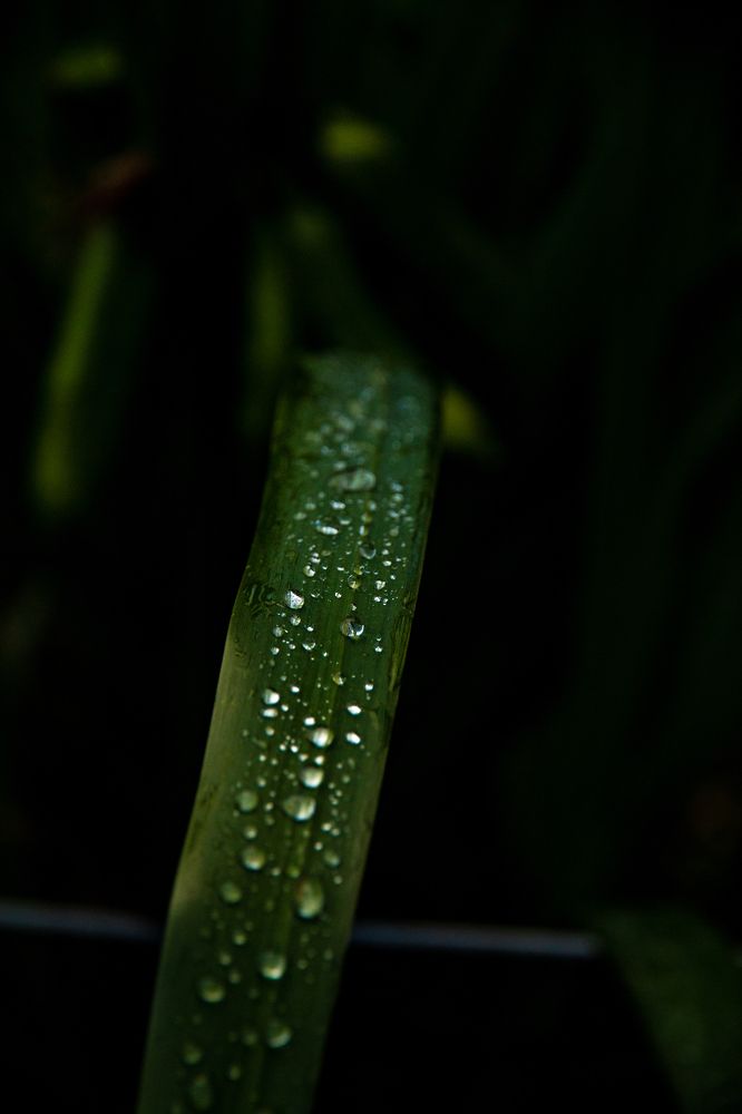 Photograph by Евгений Авдеев