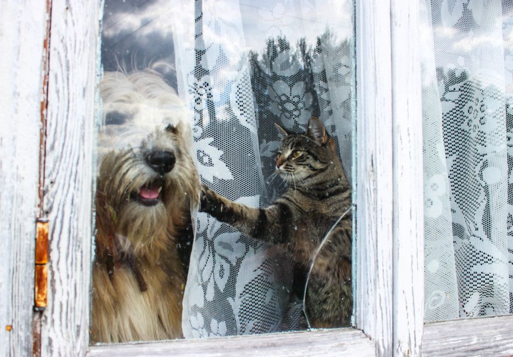 Photograph by Елена Сиднина