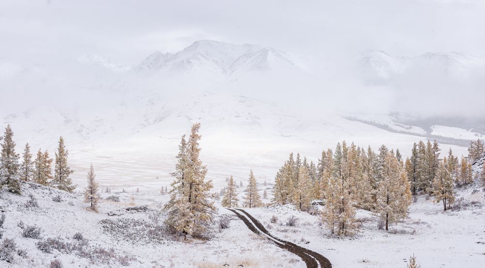 Фотография автора Александр Рудный