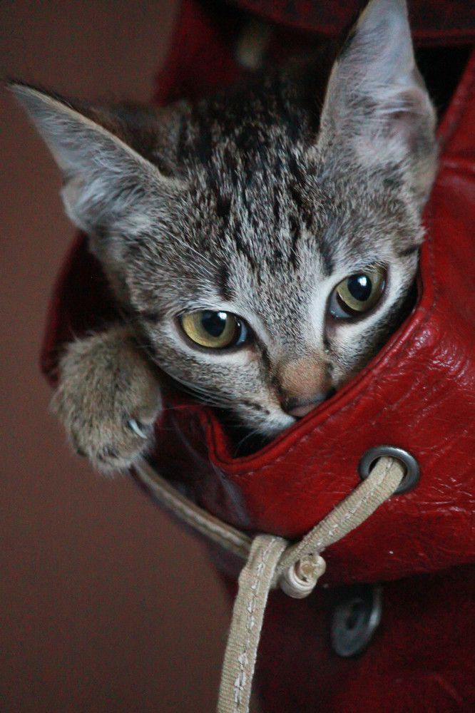 Photograph by Елена Сиднина