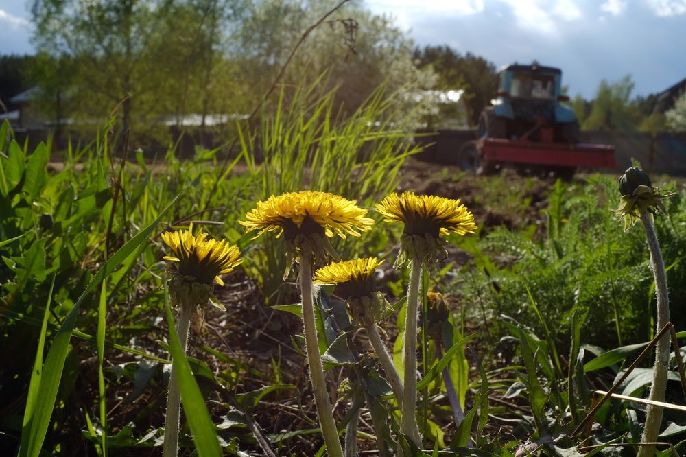 Photograph by Семен Батов