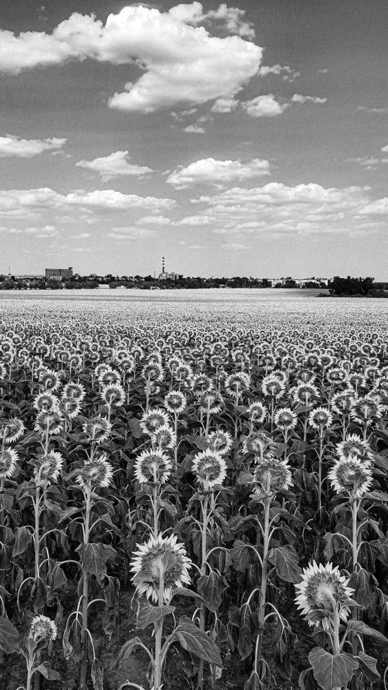 Photograph by Максим Фомин