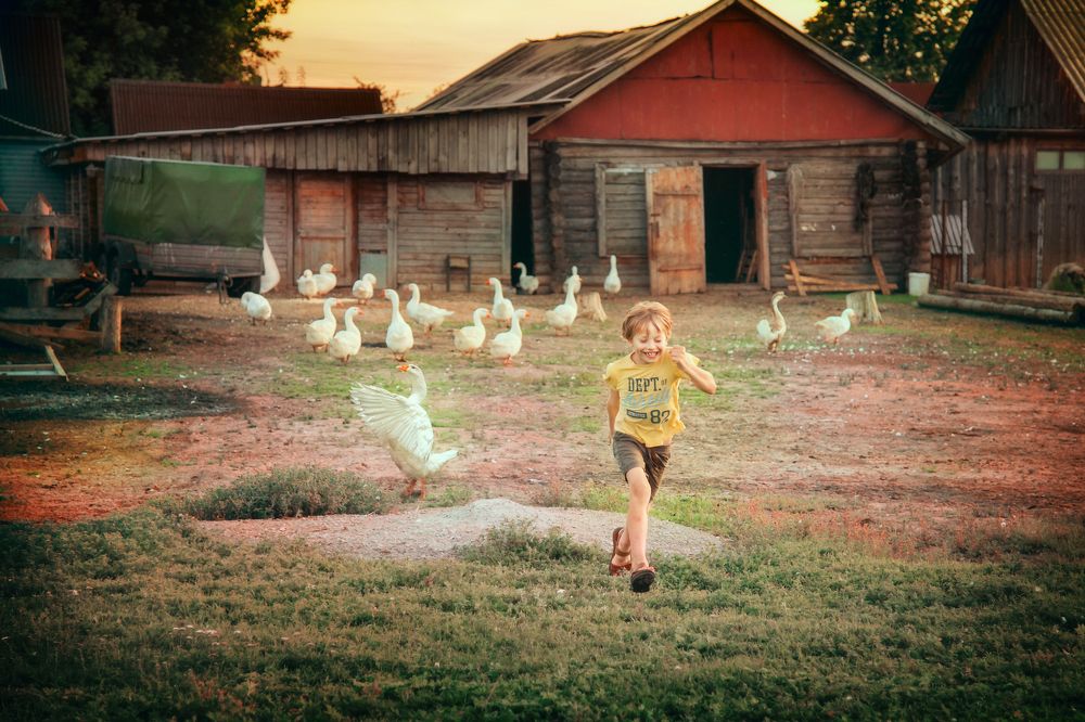 Photograph by Юлия Графова