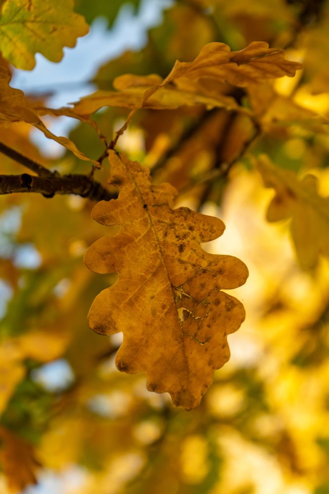 Фотография автора Виталий Гавронский