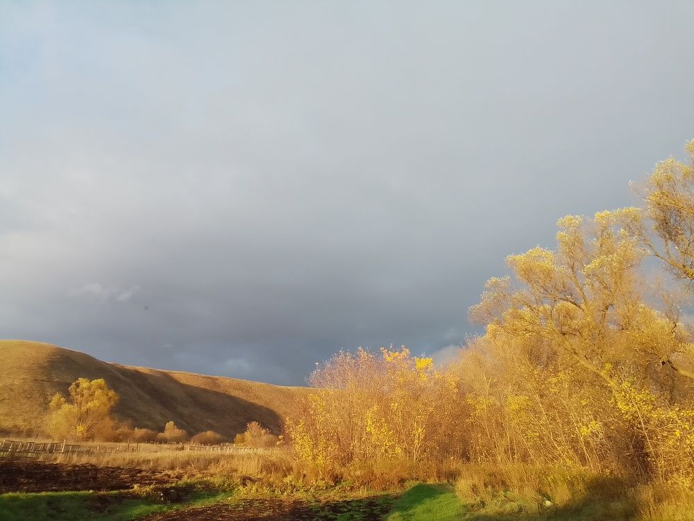 Photograph by Лилия Исхакова