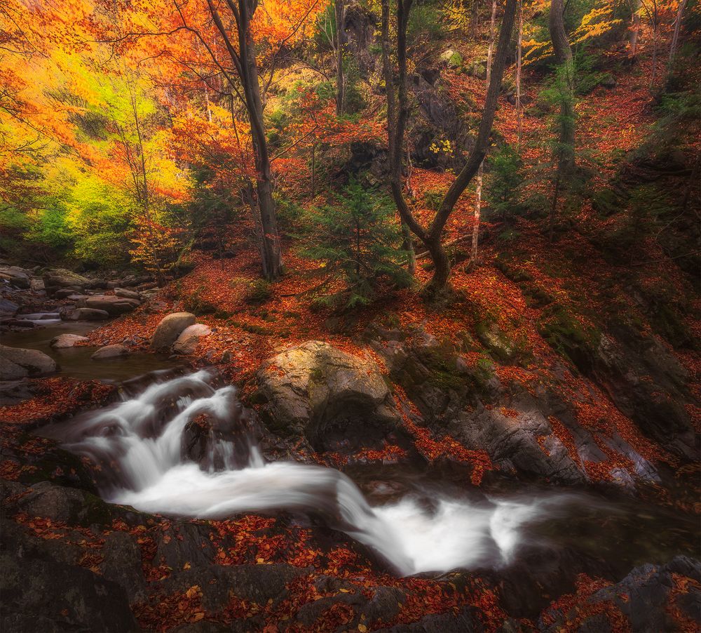 Photograph by Александров Александър