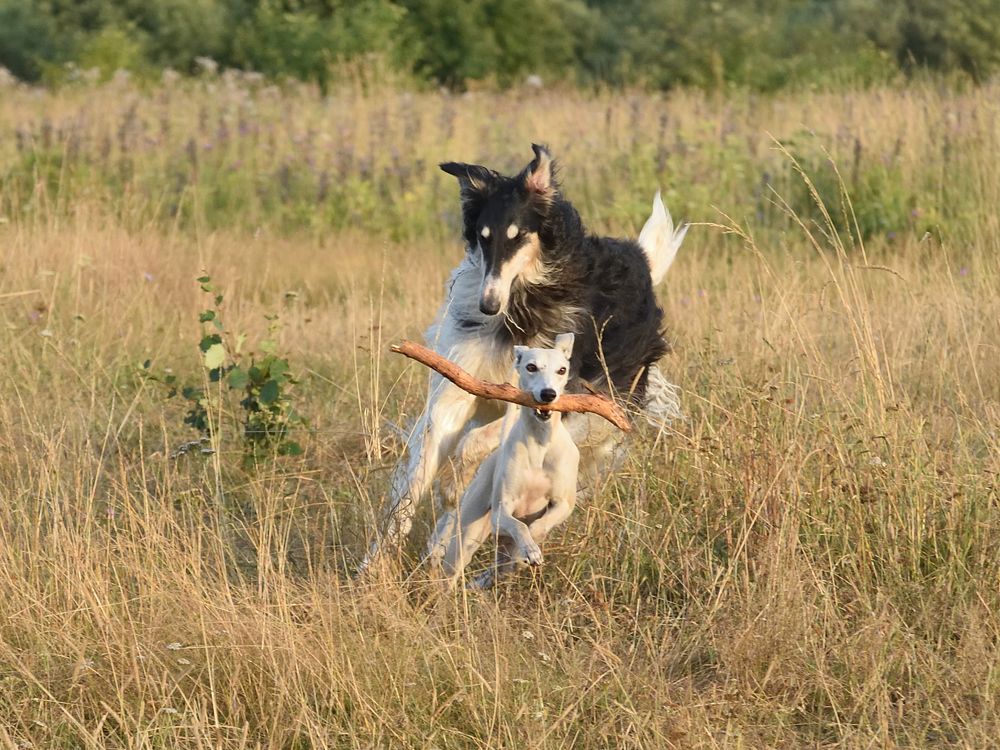 Photograph by Семен Батов