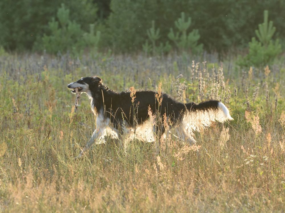 Photograph by Семен Батов