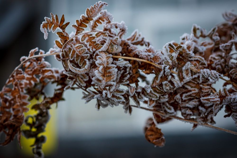 Photograph by Елена Баженова