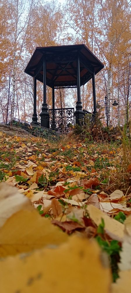 Photograph by Olga Lagynova