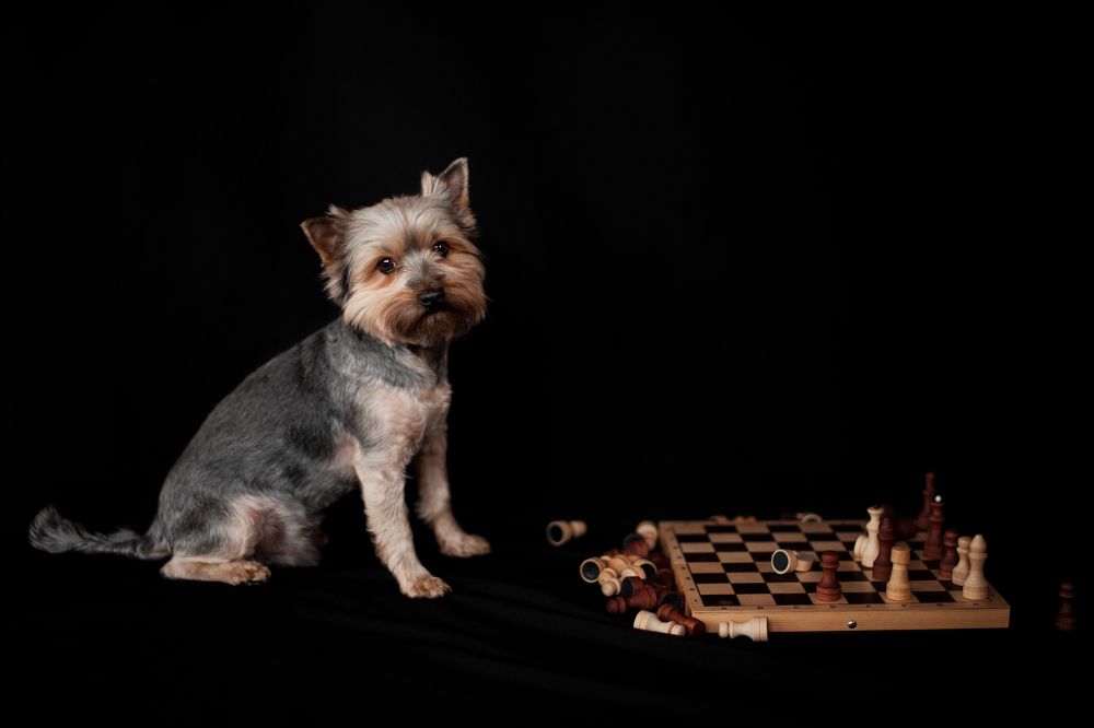 Photograph by Александра