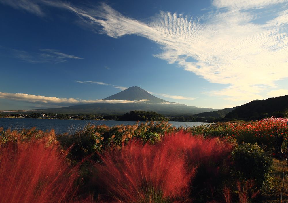 Фотография автора Nikolay Suglobov