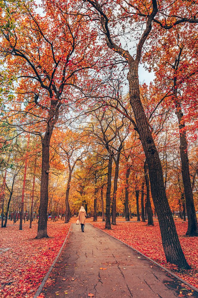 Фотография автора Rom@shkin