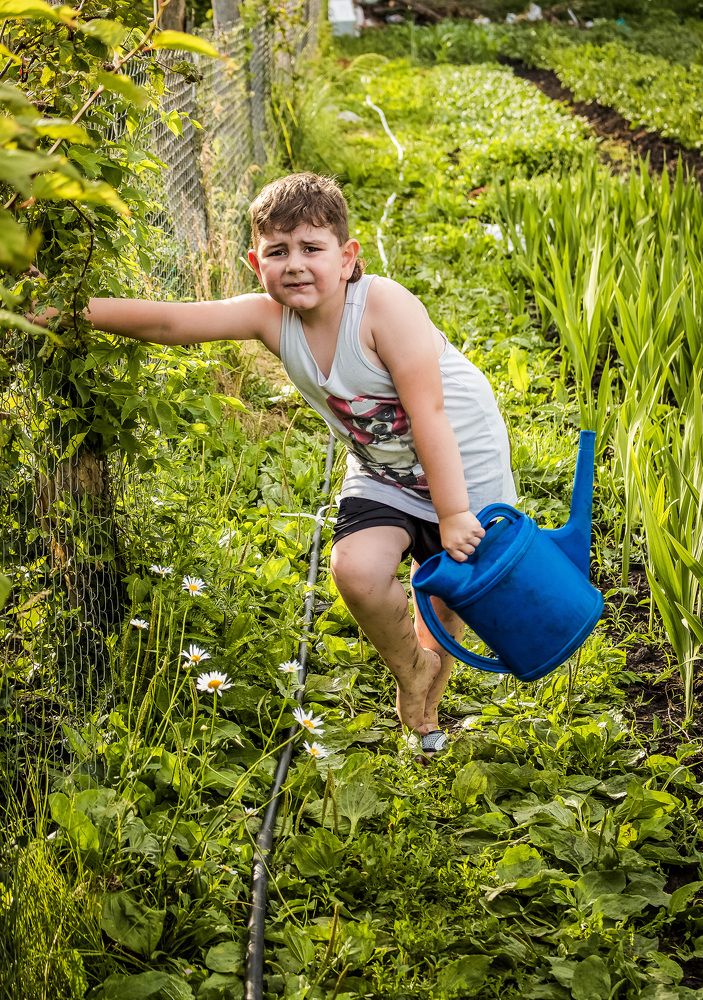 Photograph by Вера Наземкина - Соколова