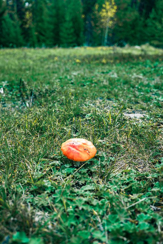 Photograph by Артём Александрович
