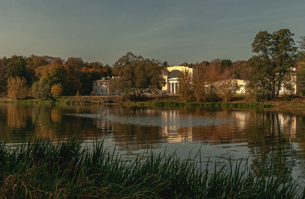 Photograph by Vladimir  Komarov