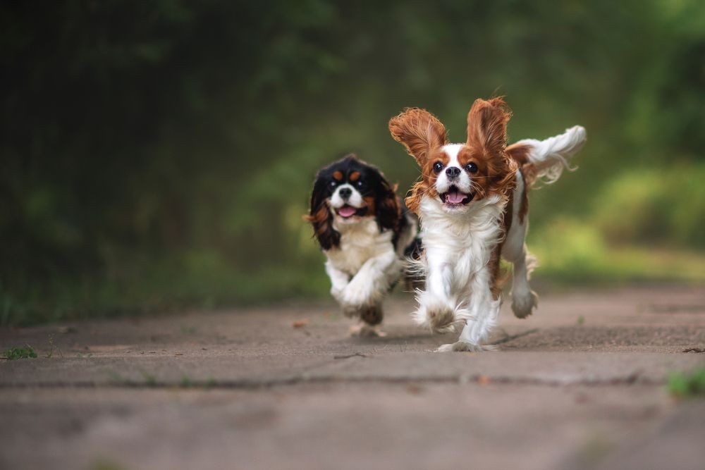 Photograph by Козел Марта