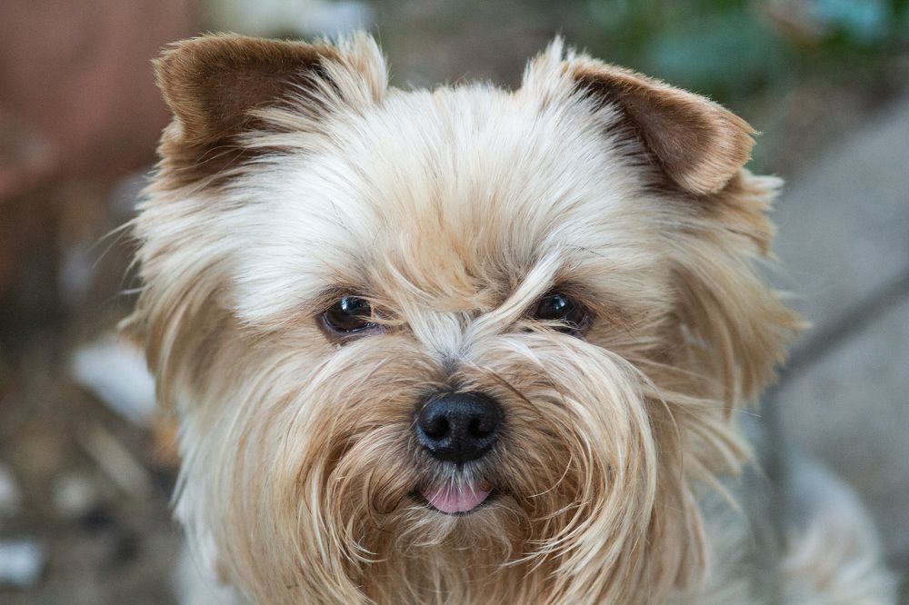 Photograph by Алексей Борисов