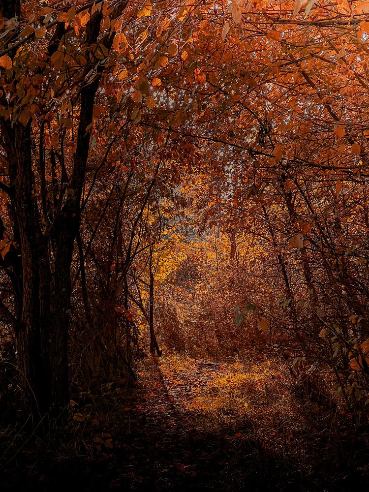 Photograph by Елена Башмакова