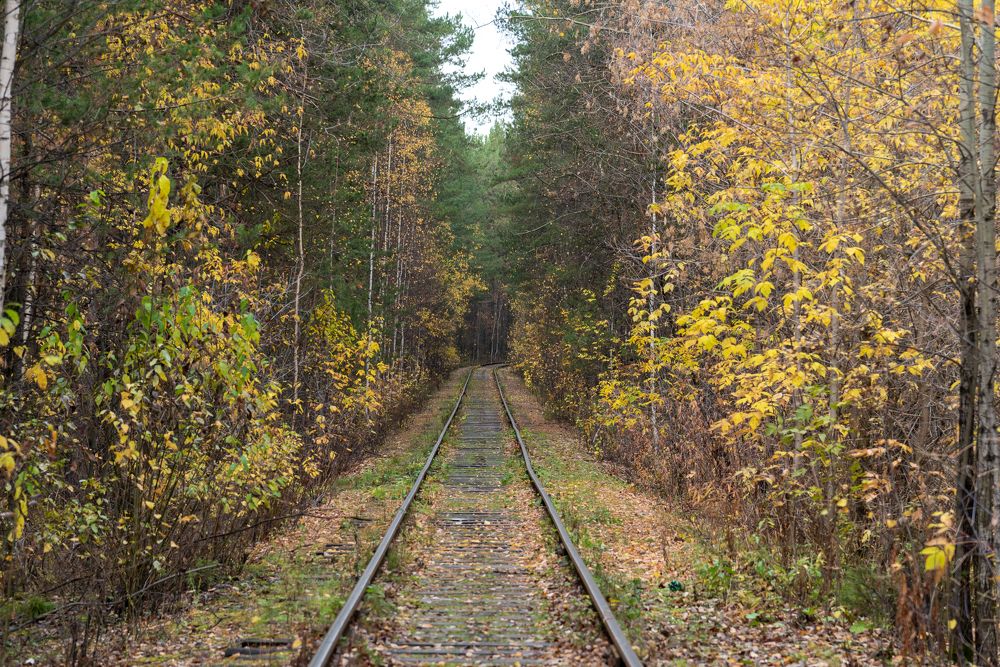 Photograph by Николай Писецкий