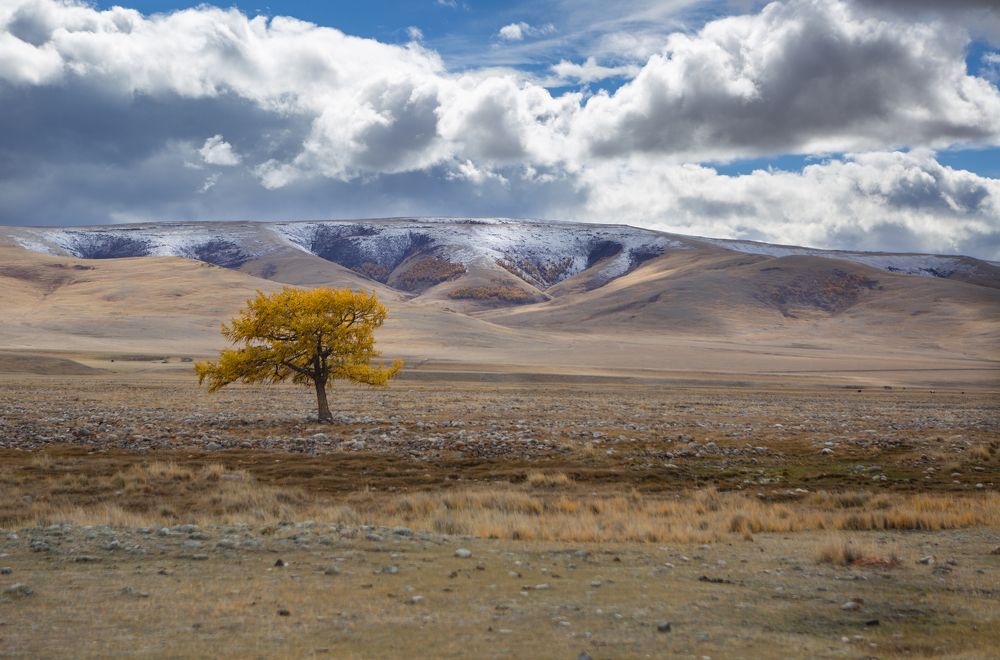 Одиночество
