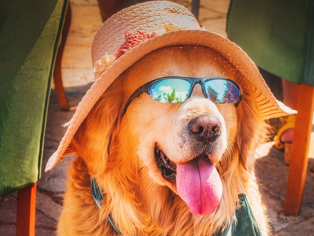 Photograph by Денис Иванов