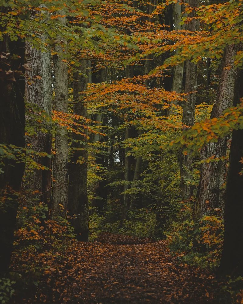 Photograph by Света Вирбицкас