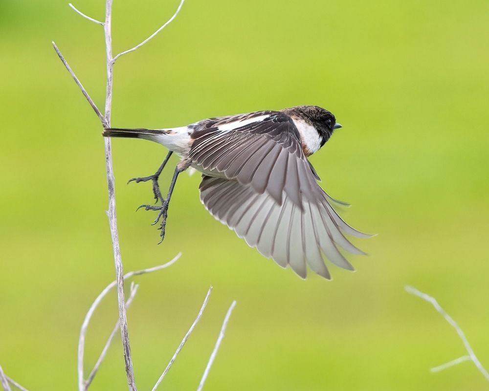 Фотография автора Mohammed sajd