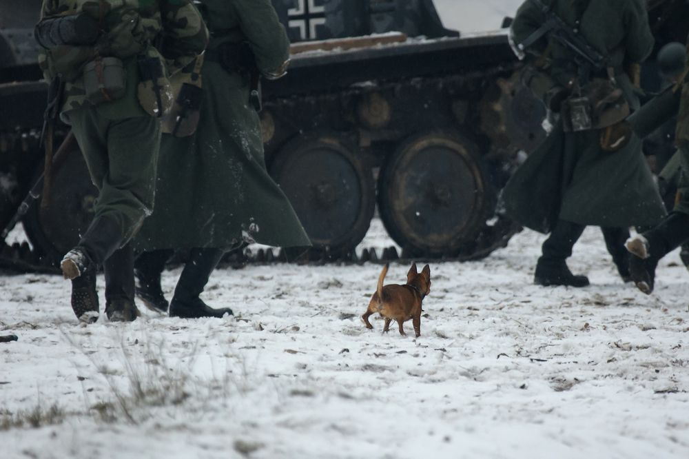 Photograph by Светлана Карнаух