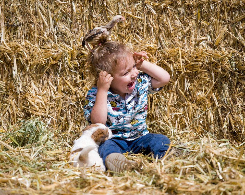 Фотография автора Mohammed sajd