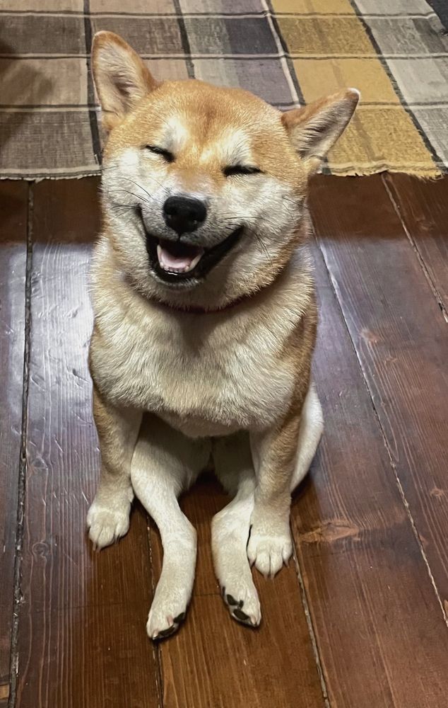 Photograph by Гуляева Светлана